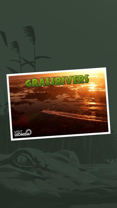 Carte postale « Grassrivers » de GTA VI : un marais au coucher du soleil