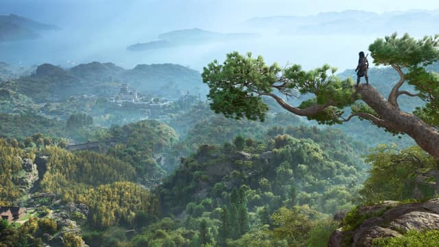 Naoe debout sur un pin au bord d'une falaise, au-dessus de collines boisées et d'un château