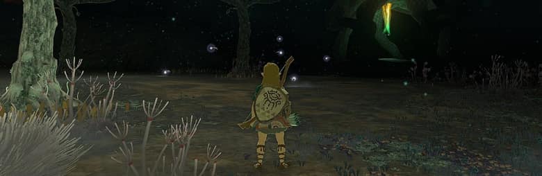 Link de dos dans la pénombre des Profondeurs, entouré d'arbres, de plantes sèches et de petites lueurs