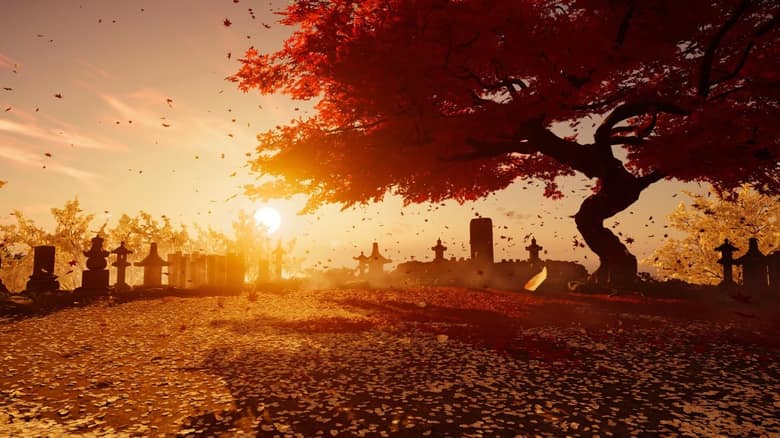 Arbre aux feuilles rouges au coucher du soleil devant un cimetière de stèles japonaises