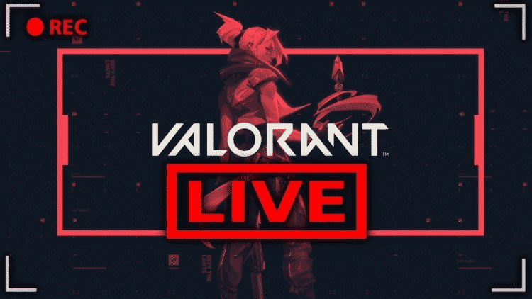 Morocco Valorant League Live Stream