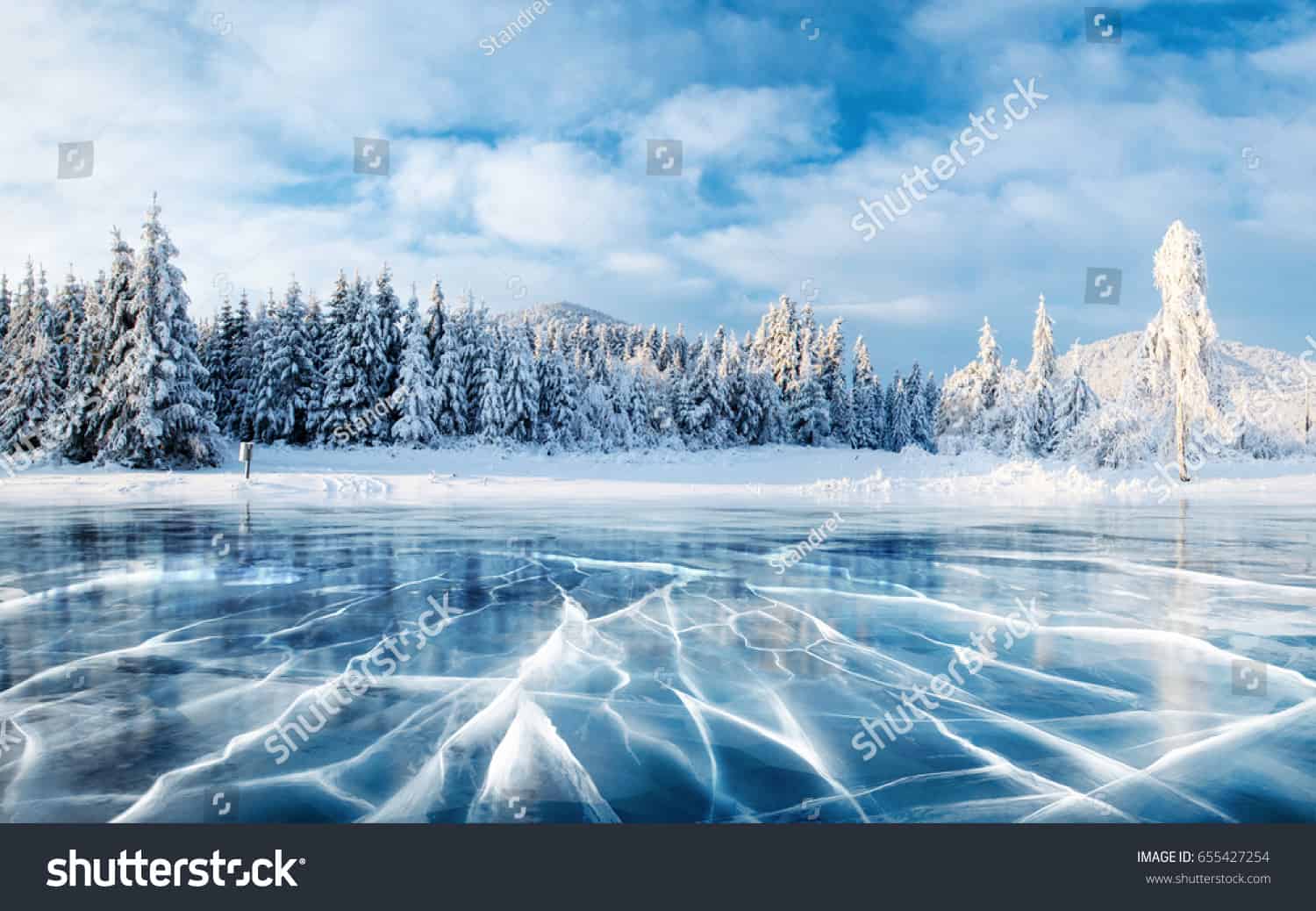 remove-watermark-images-shutterstock